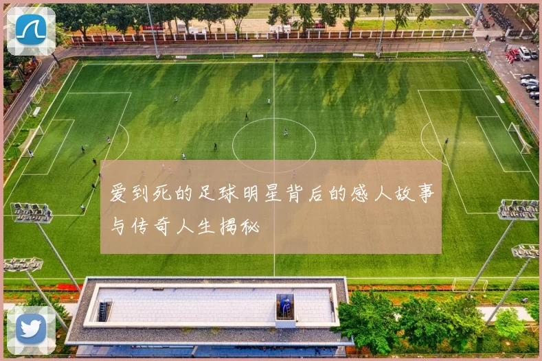 爱到死的足球明星背后的感人故事与传奇人生揭秘