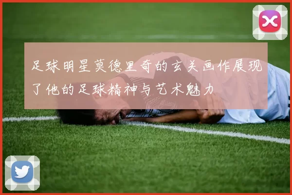 足球明星莫德里奇的玄关画作展现了他的足球精神与艺术魅力