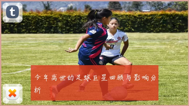 今年离世的足球巨星回顾与影响分析