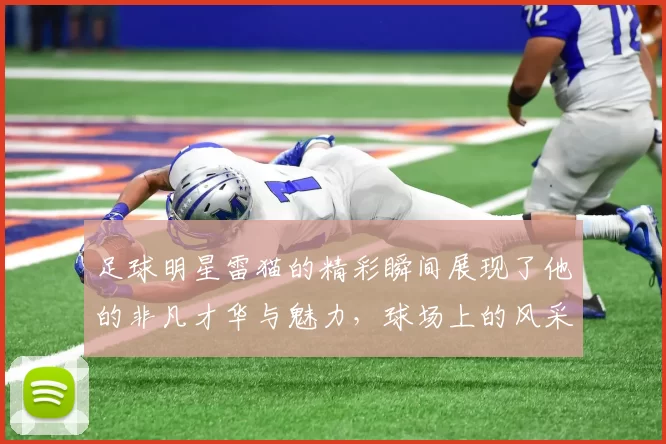足球明星雷猫的精彩瞬间展现了他的非凡才华与魅力，球场上的风采令人难以忘怀