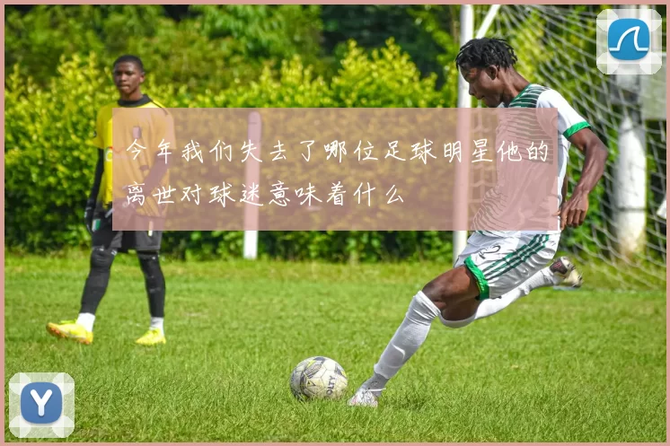 今年我们失去了哪位足球明星他的离世对球迷意味着什么