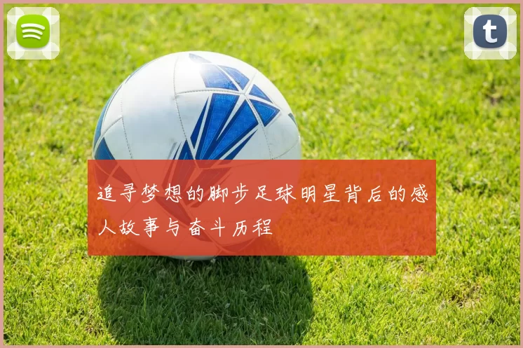 追寻梦想的脚步足球明星背后的感人故事与奋斗历程