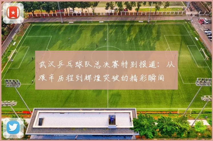 武汉乒乓球队总决赛特别报道：从艰辛历程到辉煌突破的精彩瞬间
