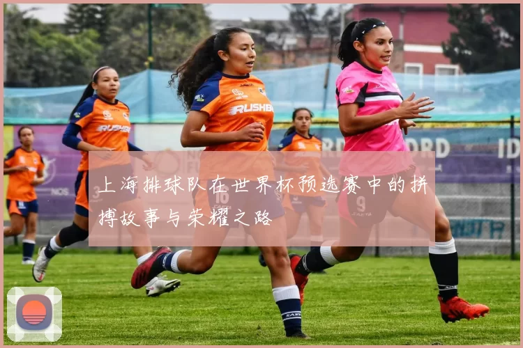 上海排球队在世界杯预选赛中的拼搏故事与荣耀之路