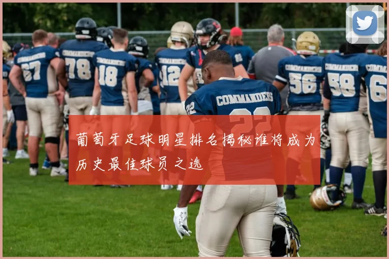 葡萄牙足球明星排名揭秘谁将成为历史最佳球员之选