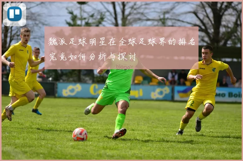 魏派足球明星在全球足球界的排名究竟如何分析与探讨
