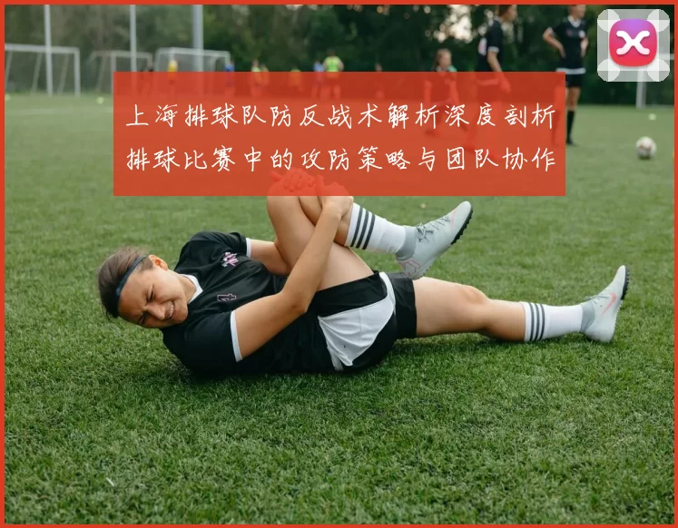 上海排球队防反战术解析深度剖析排球比赛中的攻防策略与团队协作