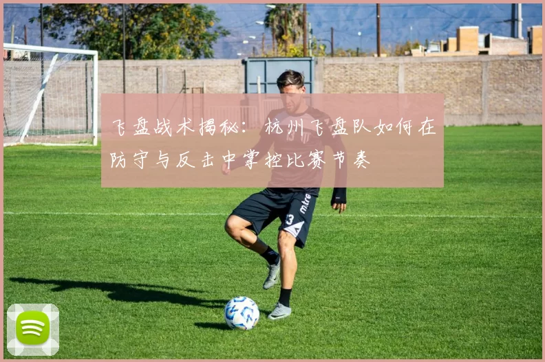 飞盘战术揭秘：杭州飞盘队如何在防守与反击中掌控比赛节奏