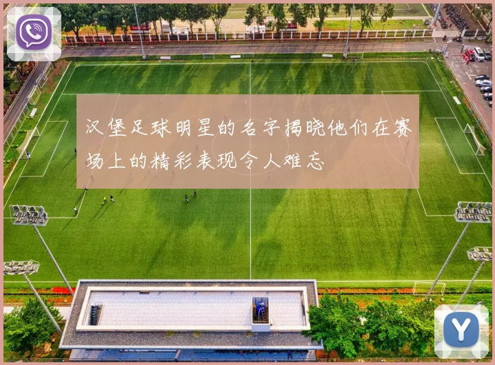 汉堡足球明星的名字揭晓他们在赛场上的精彩表现令人难忘