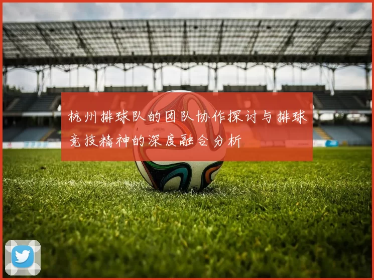 杭州排球队的团队协作探讨与排球竞技精神的深度融合分析