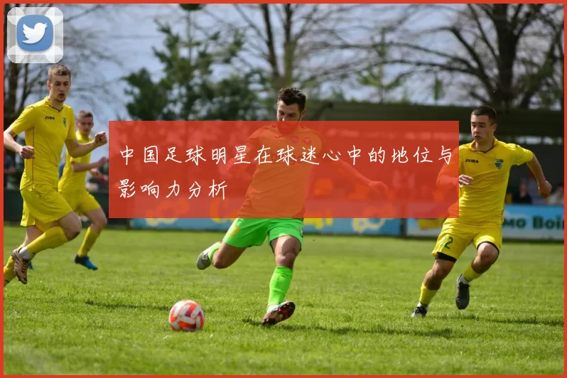 中国足球明星在球迷心中的地位与影响力分析