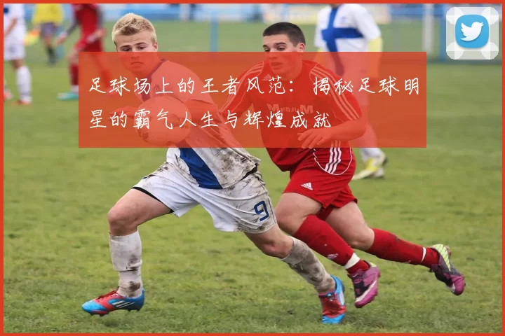 足球场上的王者风范：揭秘足球明星的霸气人生与辉煌成就