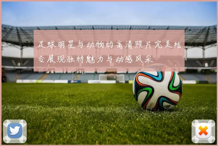 足球明星与动物的高清照片完美结合展现独特魅力与动感风采