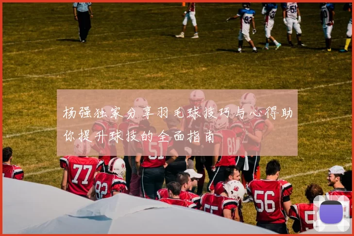 杨强独家分享羽毛球技巧与心得助你提升球技的全面指南