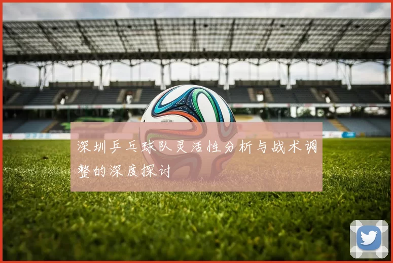 深圳乒乓球队灵活性分析与战术调整的深度探讨