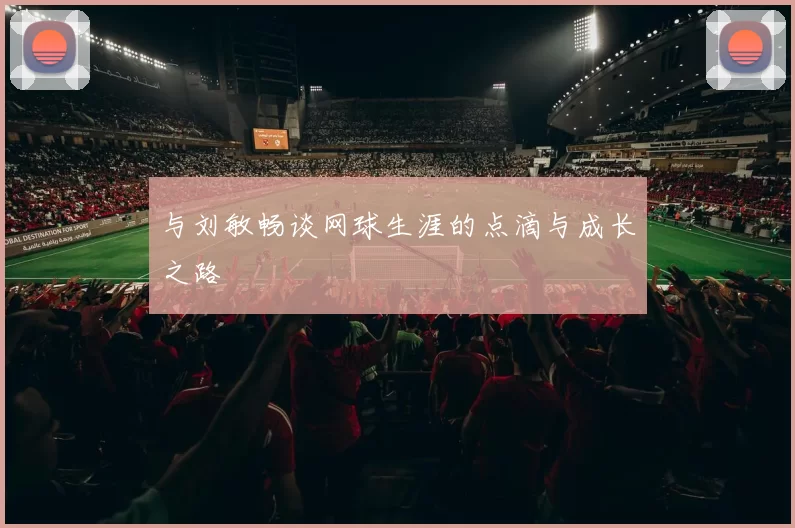 与刘敏畅谈网球生涯的点滴与成长之路