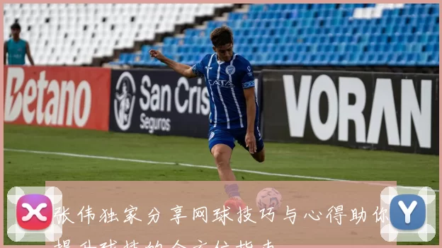 张伟独家分享网球技巧与心得助你提升球技的全方位指南