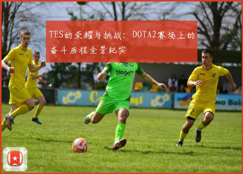 TES的荣耀与挑战：DOTA2赛场上的奋斗历程全景纪实