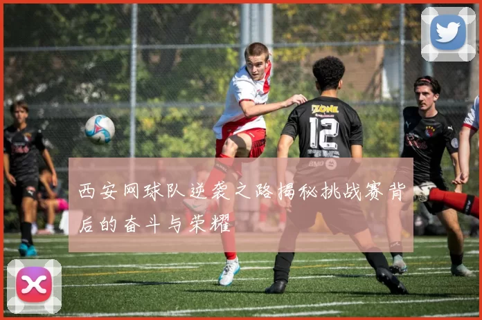西安网球队逆袭之路揭秘挑战赛背后的奋斗与荣耀