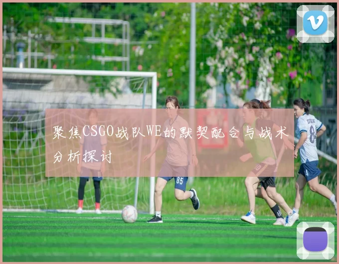 聚焦CSGO战队WE的默契配合与战术分析探讨
