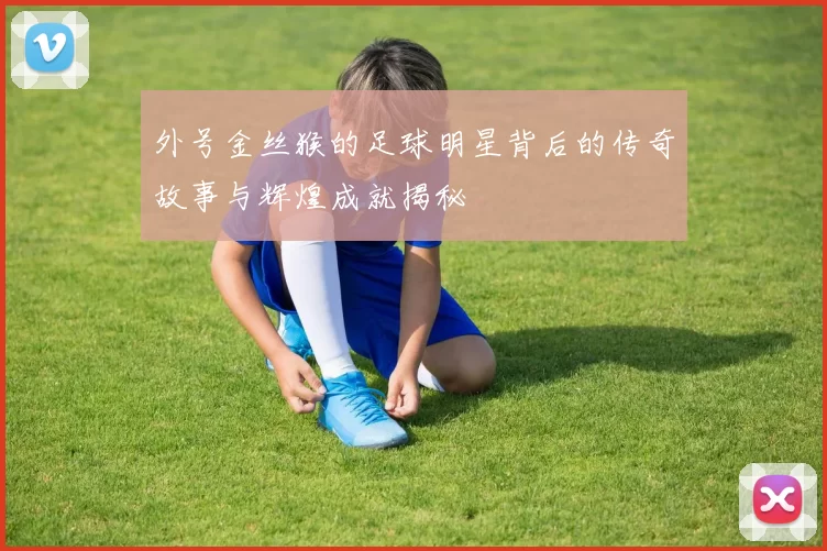 外号金丝猴的足球明星背后的传奇故事与辉煌成就揭秘